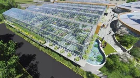 1596088705851082.jpg 1.jpg