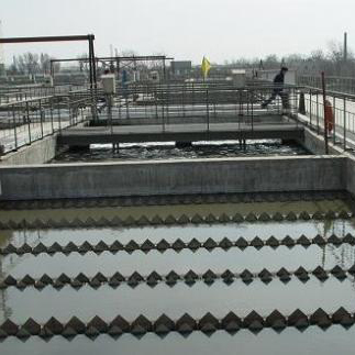 1596695654200915.jpg 1596695654200915.jpg